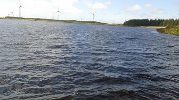 Kilmaley Group Water Scheme lake 2