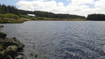 Kilmaley Group Water Scheme lake 3